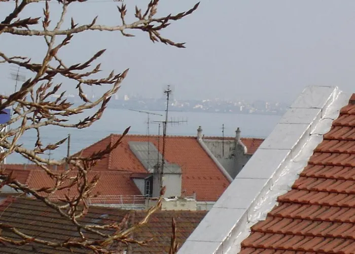Verde Esperança Lisboa